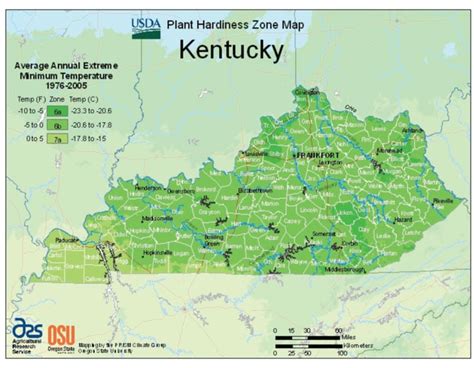 Time Zone Map Of Kentucky - Ronny Cinnamon