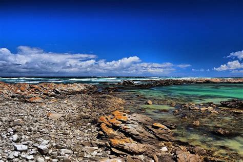 Cape Agulhas Stony Point Nature Reserve