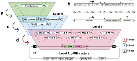 Addgene Joint Modular Cloning Jmc Toolkit