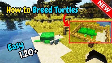 How To Breed Turtles In Minecraft Youtube