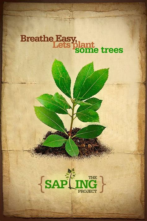 The Sapling Project - plant a Sapling, make the world Greener!