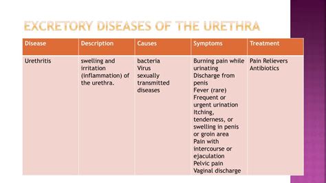 Ppt Anatomy And Physiology Powerpoint Presentation Free Download Id2466760