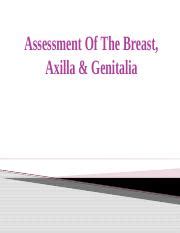 Assessment Of The Breast Axilla Genitalia A Comprehensive Course Hero