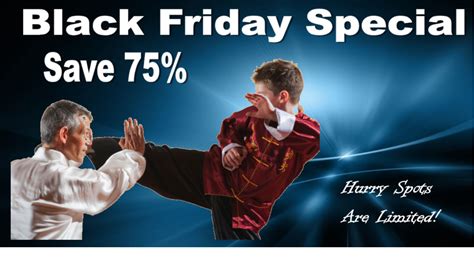 Black Friday Rothrock S Kung Fu Tai Chi