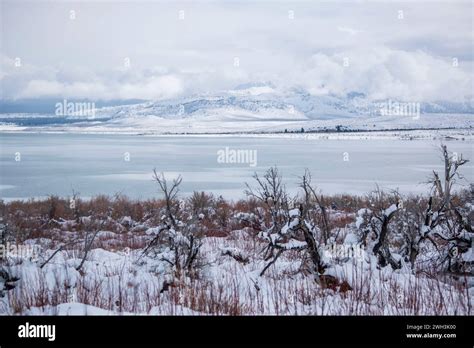 Mono Lake And Its Tufas Sometimes Gets Frosted By Snow In This Part Of