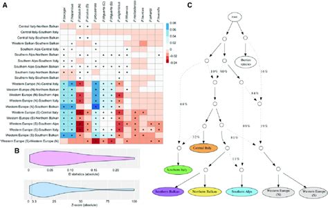 Analyses Of Gene Flow For Podarcis Muralis Lineages A Interspecific Download Scientific