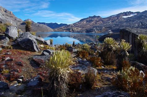 The Fabulous Day Sierra Nevada Del Cocuy Trek Hike Bike Travel