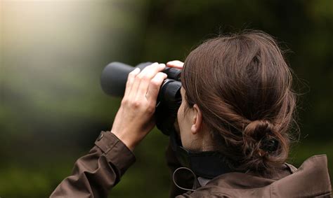 Buy Bird Watching Binoculars Bird Spot