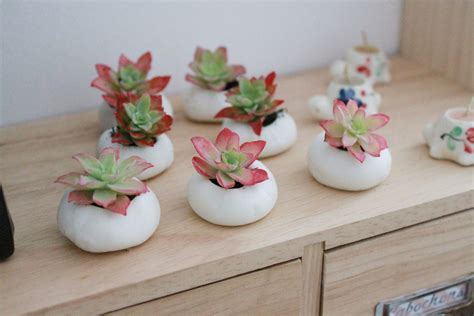 Succulentes Miniatures DIY Avec Ses 10 Ptits Doigts Blog DIY