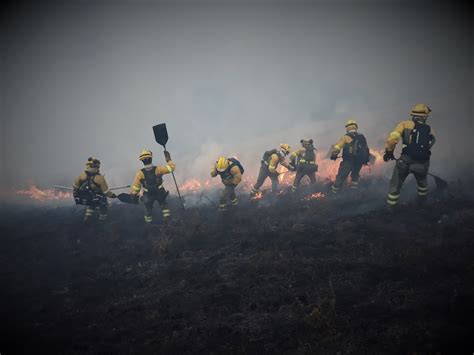 Las Brigadas De Refuerzo En Incendios Forestales BRIF Del Ministerio