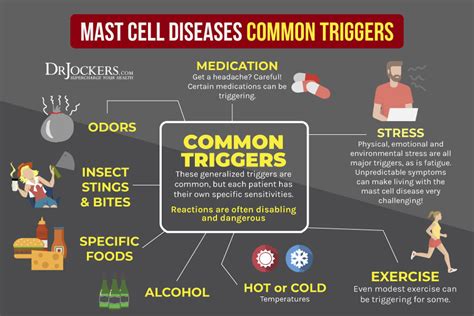 Mast Cell Activation Syndrome: Symptoms and Support Strategies