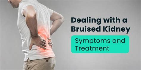 Dealing with a Bruised Kidney: Symptoms and Treatment