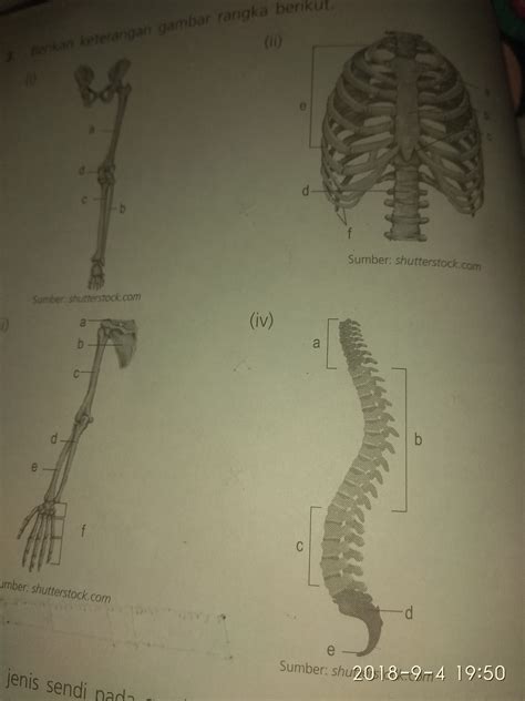 Detail Berikan Keterangan Gambar Rangka Berikut Koleksi Nomer 2