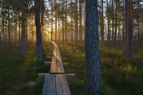 5 Beautiful National Parks in Estonia