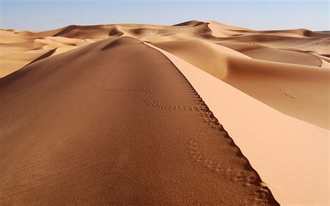 Hd Wallpaper Sand Wallpaper Dune Desert Landscape Suggestive