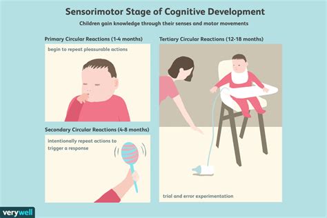 The Sensorimotor Stage Of Cognitive Development