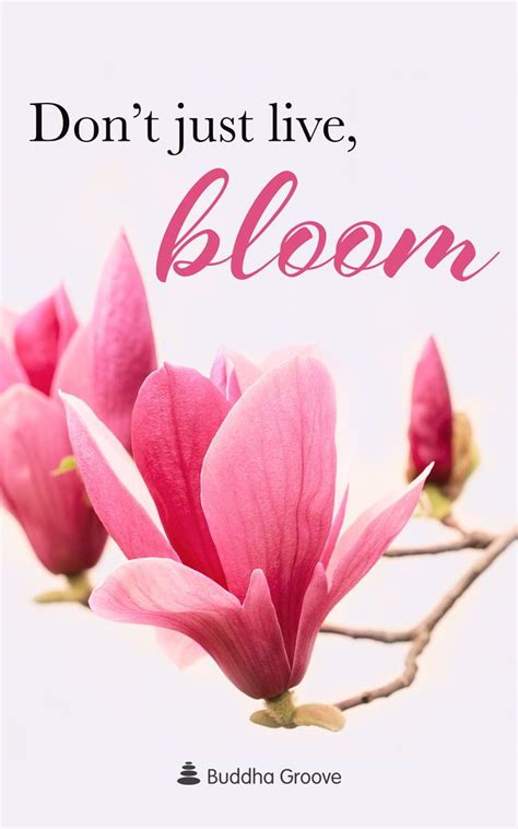 Inspiration For Bloom Bloom Quotes Flower Quotes Beautiful Flower