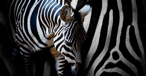 RDK | Rare Disorders Kenya