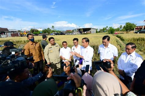 Foto Maros Lumbung Beras Sulsel Presiden Surplus Panen Bisa Untuk