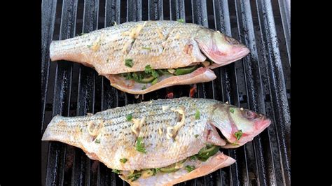 Oak Grilled Striped Bass On The 48 Sunterra Santa Maria Grill Youtube