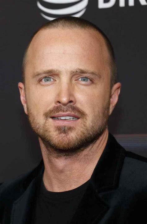 Top 30 Bald Celebrities When They Had Hair Bald And Beards
