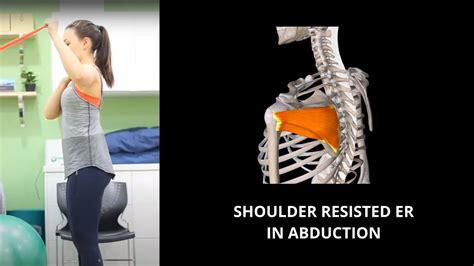 Shoulder Resisted External Rotation In Abduction Youtube