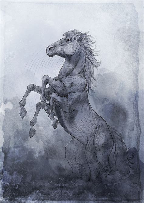 Sleipnir by Woari on DeviantArt