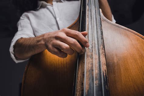 Lezioni Di Basso E Contrabbasso CantArte Music Academy Padova