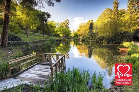 People Will Be Stripping Off To Walk In Beauty Spots Naked This Summer Daily Star