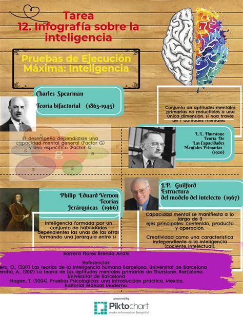 Infografía sobre la inteligencia Pruebas de Ejecución máxima El