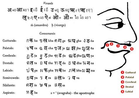 Sanskrit Related Keywords & Suggestions - Sanskrit Long Tail Keywords ...
