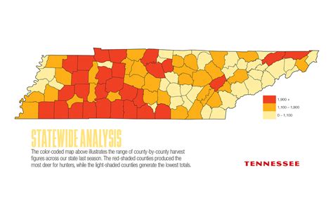 2017 Tennessee Deer Forecast Outdoor Enthusiast Lifestyle Magazine