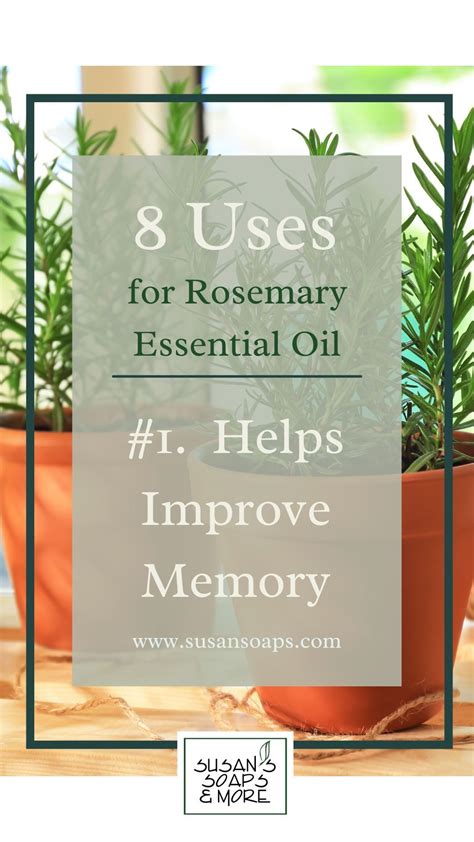 8 Uses For Rosemary Essential Oil Essential Oils Rosemary Essential Oils For Memory