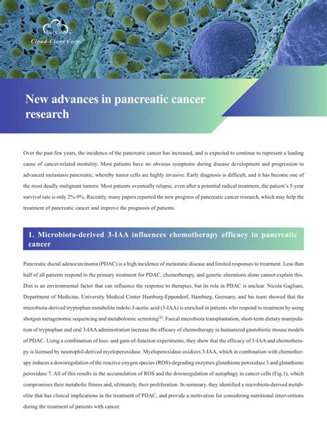 (PDF) New advances in pancreatic cancer research