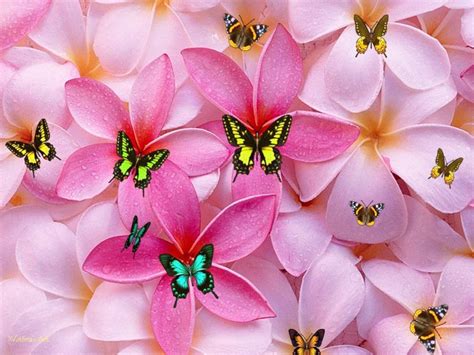 Download Cute Girly Flowers And Butterflies Wallpaper | Wallpapers.com