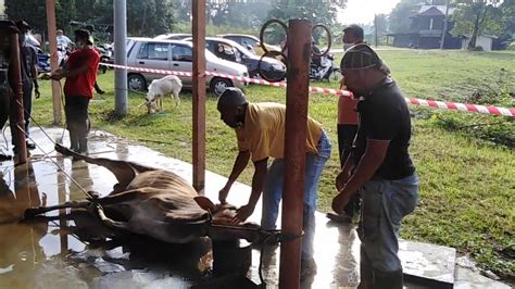 Hari Raya Korban Di Masjid Sungai Terap Batu Gajah Perak 2020 1