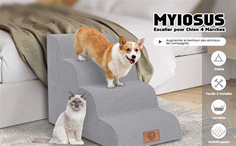 Myiosus Escalier Pour Chien Marches En Mousse Rampe Pour Chiens Avec