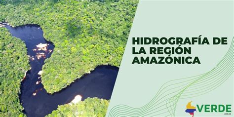 Hidrografía de la región Amazónica Colombia Verde