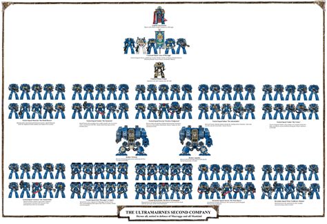 Company Space Marine Warhammer 40k Fandom Space Marine Codex