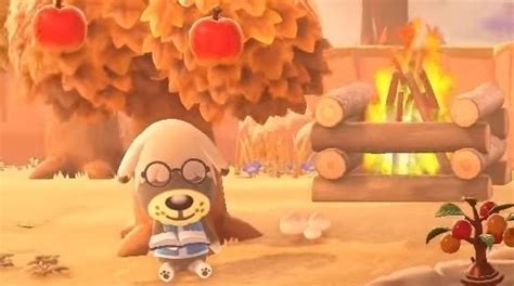 Animal Crossing Seasons Northern And Southern Hemispheres In New