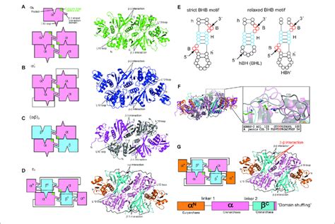 Structures And Characteristics Of Four Types Of Archaeal Rna Splicing