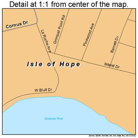 Isle Of Hope Georgia Street Map 1341484