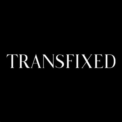 Transfixed Review Specs And Coupon Discounts And Alternatives Nsfwtools