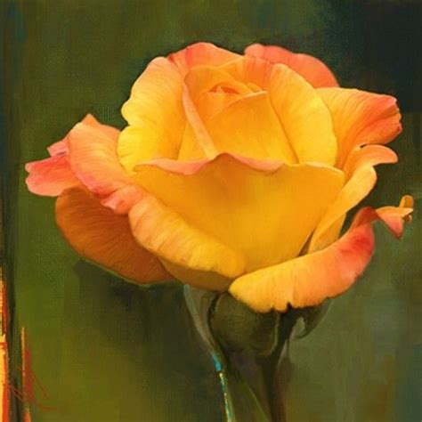 Yellow Rose Flower Painting