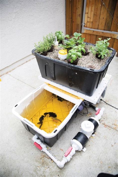 20 Useful Diy Aquaponics Systems And Plans Blitsy