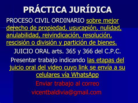 4 Juicio oral video Univ Andina Simón Bolívar pptx