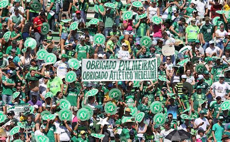 Palmeiras X Chapecoense Esporte Fotografia Folha De