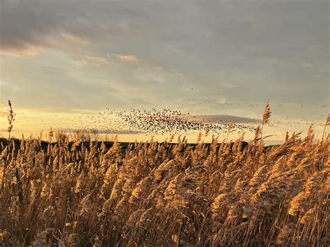 Holkham Hall & Estate | Norfolk, England