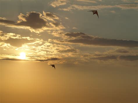 Free Images Sea Coast Ocean Horizon Bird Cloud Sun Sunrise