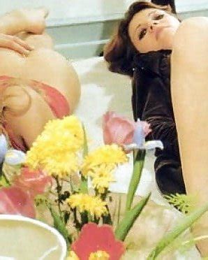 Classic Pussy Licking By Man Porn Pictures Xxx Photos Sex Images Pictoa